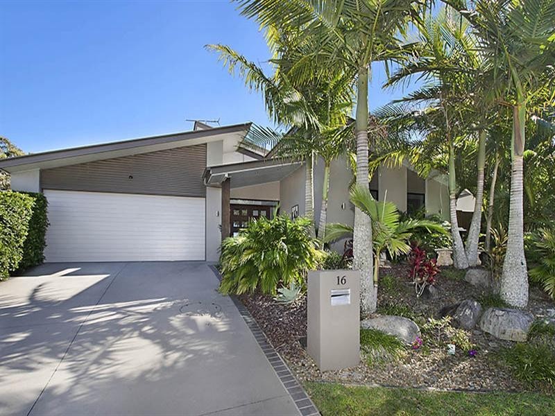 16 Sauger Court, Mountain Creek QLD 4557