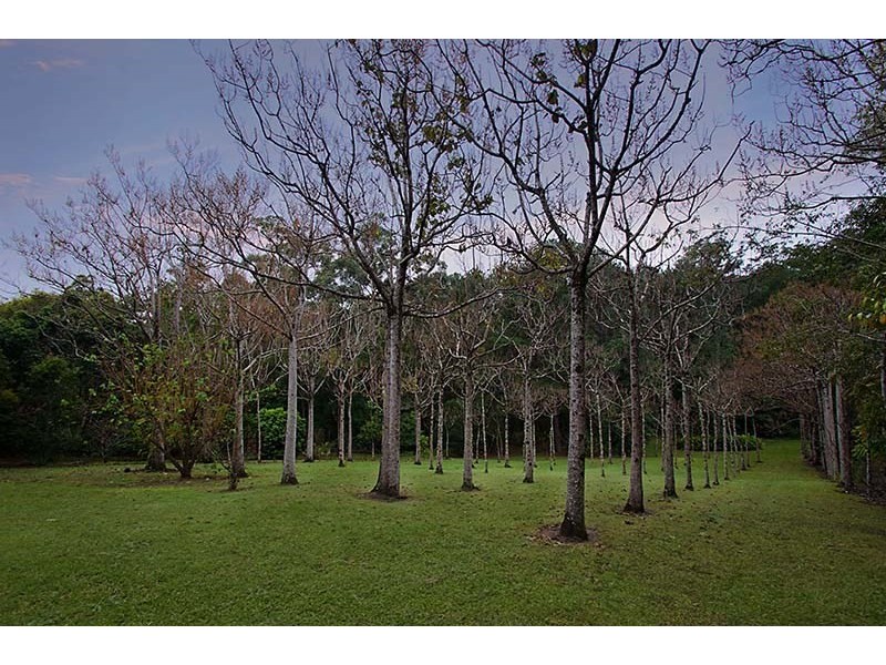 13 Sanctuary Drive, Forest Glen QLD 4556