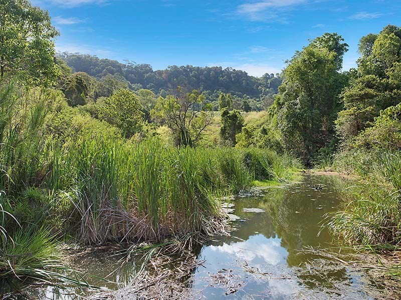 823 Hunchy Road, Hunchy QLD 4555