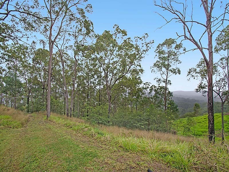 51 Citrus Road, Palmwoods QLD 4555