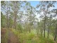 51 Citrus Road, Palmwoods QLD 4555