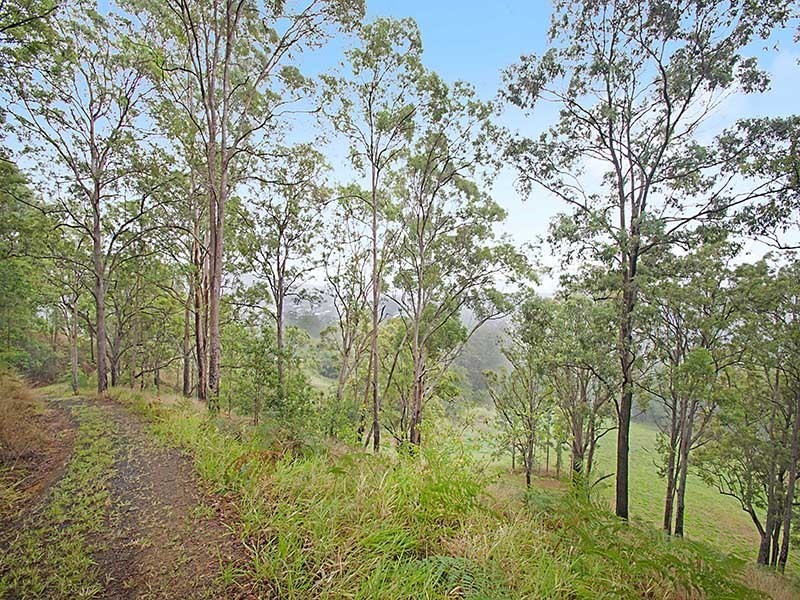 51 Citrus Road, Palmwoods QLD 4555