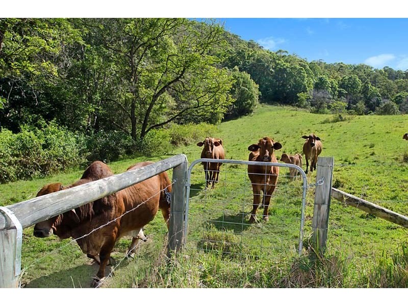 72 Misty Rise Road, Image Flat QLD 4560