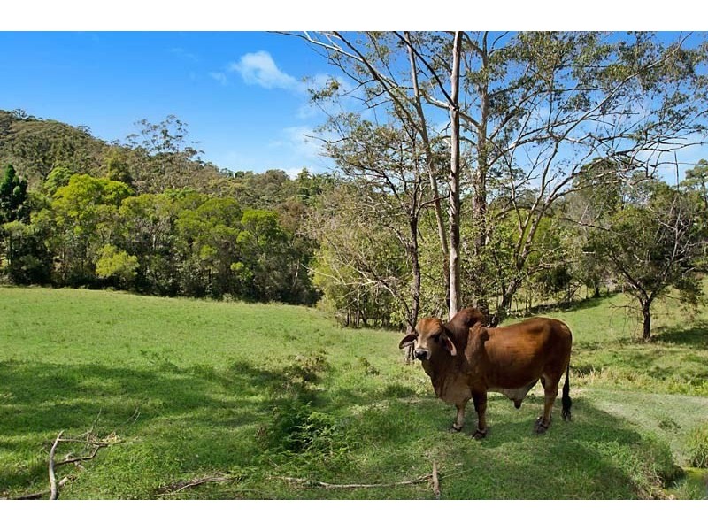 72 Misty Rise Road, Image Flat QLD 4560