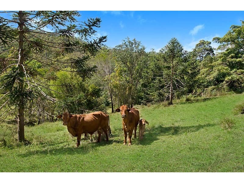 72 Misty Rise Road, Image Flat QLD 4560