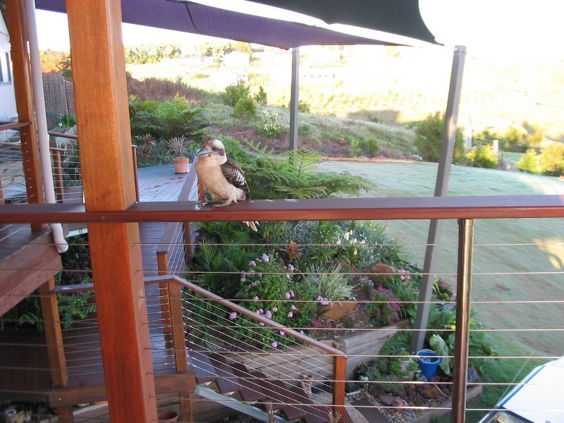 23 Curlew Court, Maleny QLD 4552