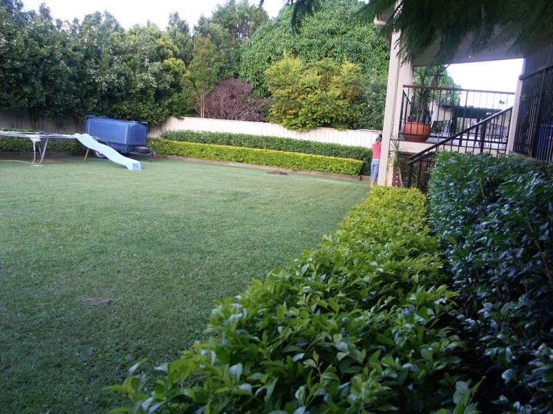 9 Coachwood Street, Buderim QLD 4556