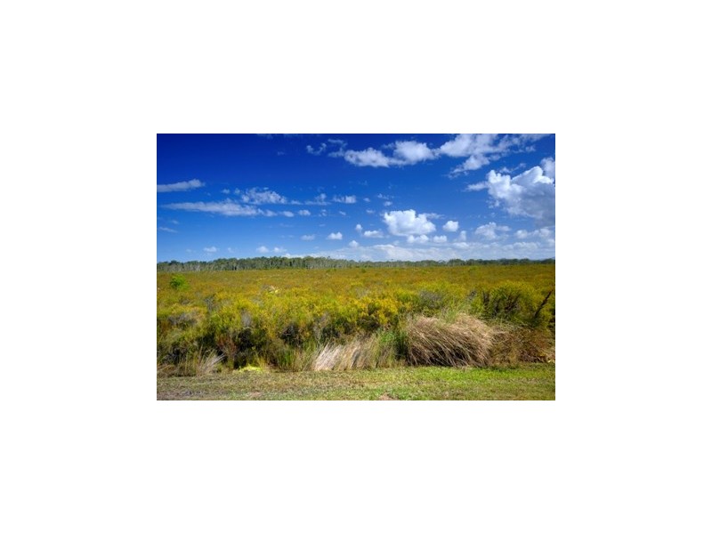 49 Sailfish Drive, Mountain Creek QLD 4557