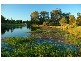 19 Regal Crescent, Sippy Downs QLD 4556