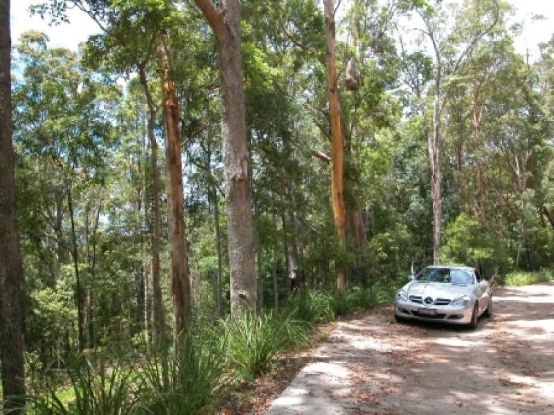 4 Gumtree Drive, Buderim QLD 4556