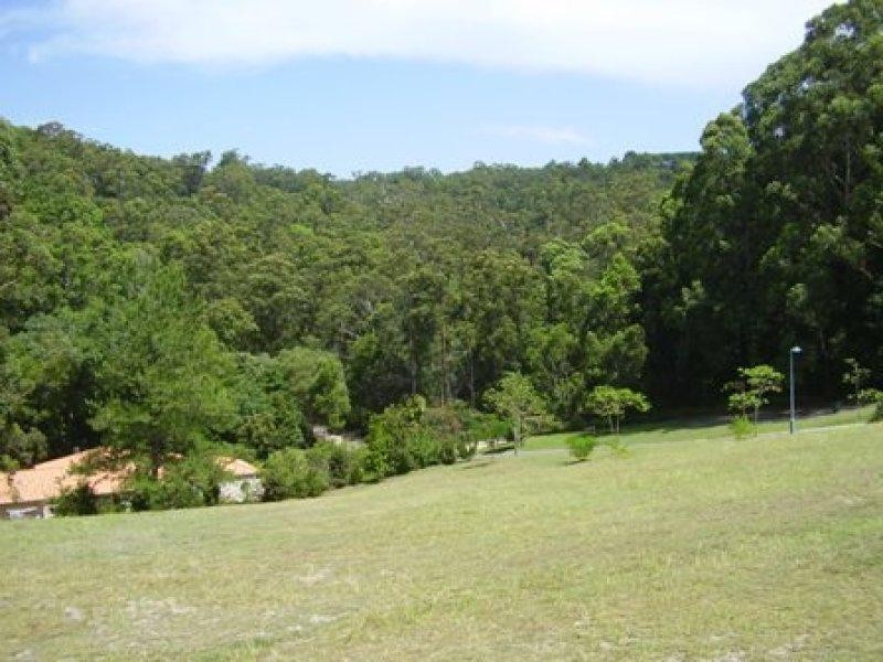 29 Toulambi Drive, Buderim QLD 4556