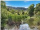 823 Hunchy Road, Hunchy QLD 4555