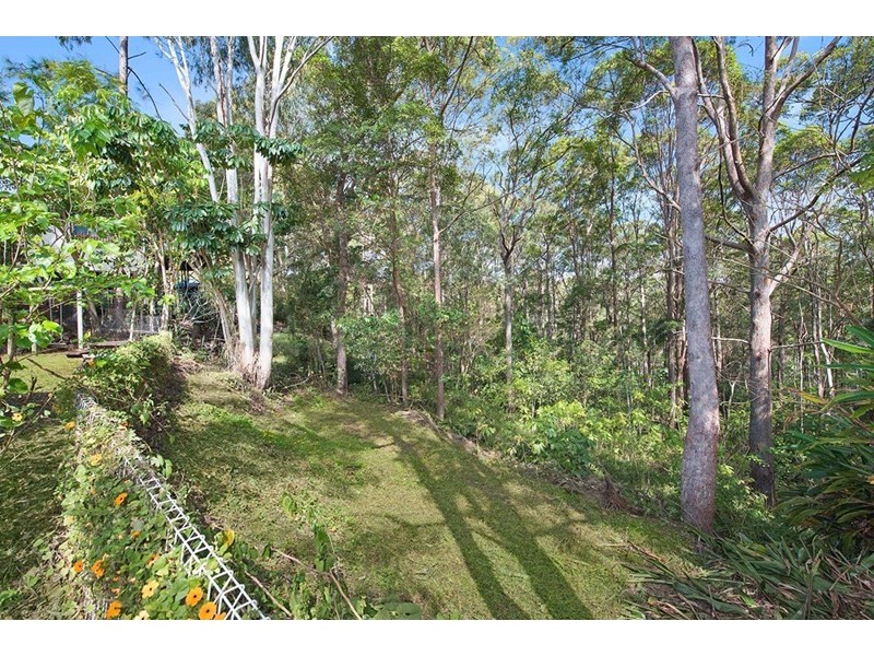 77 Jones Road, Buderim QLD 4556