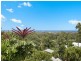 16 Honeyeater Close, Buderim QLD 4556