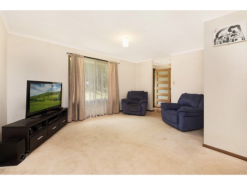 14 Camelia Court, Palmwoods QLD 4555