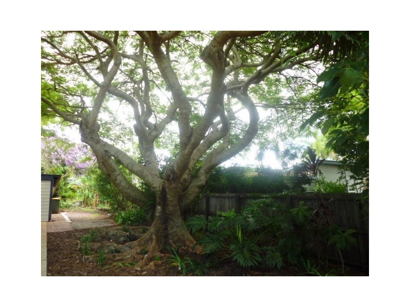 61 Lindsay Road, Buderim QLD 4556