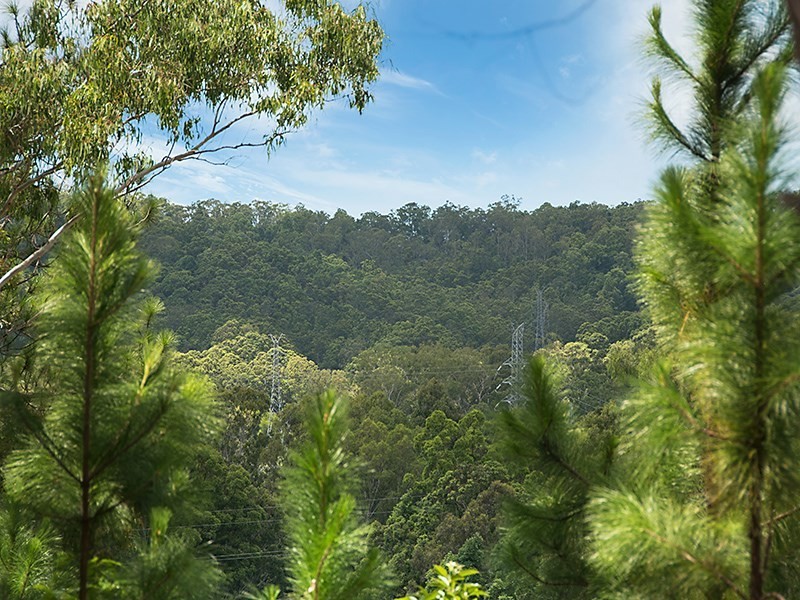 347 Palmwoods Montville Road, Palmwoods QLD 4555