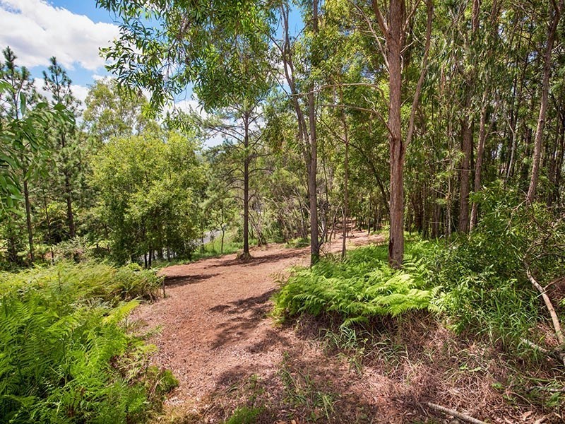 347 Palmwoods Montville Road, Palmwoods QLD 4555