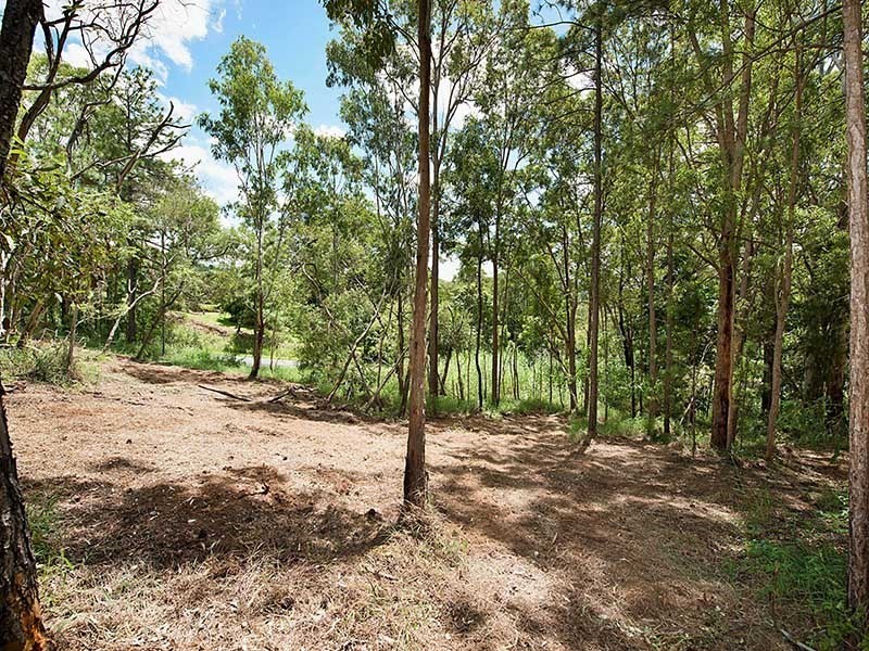 347 Palmwoods Montville Road, Palmwoods QLD 4555