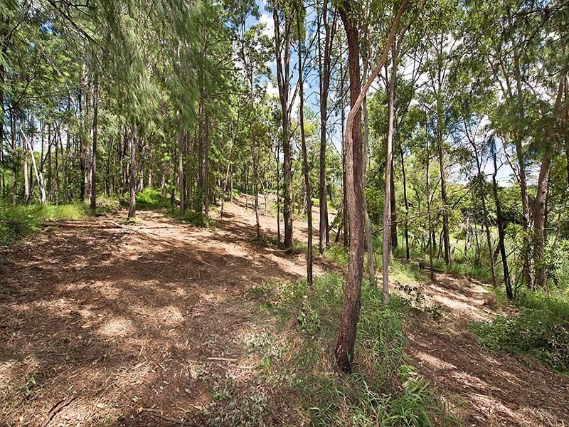 347 Palmwoods Montville Road, Palmwoods QLD 4555