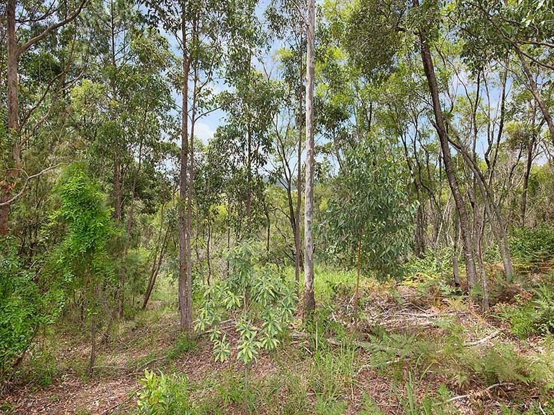 347 Palmwoods Montville Road, Palmwoods QLD 4555
