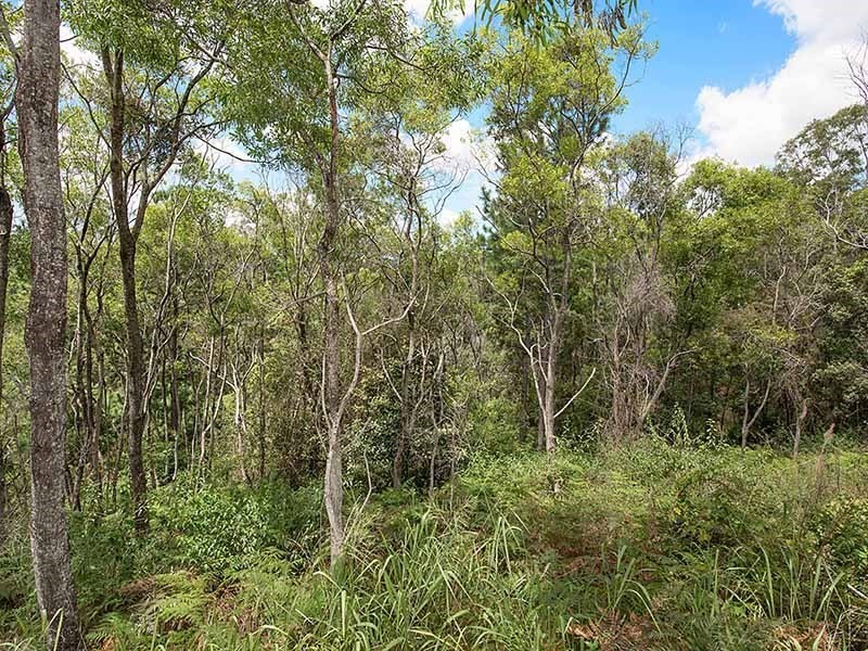 347 Palmwoods Montville Road, Palmwoods QLD 4555