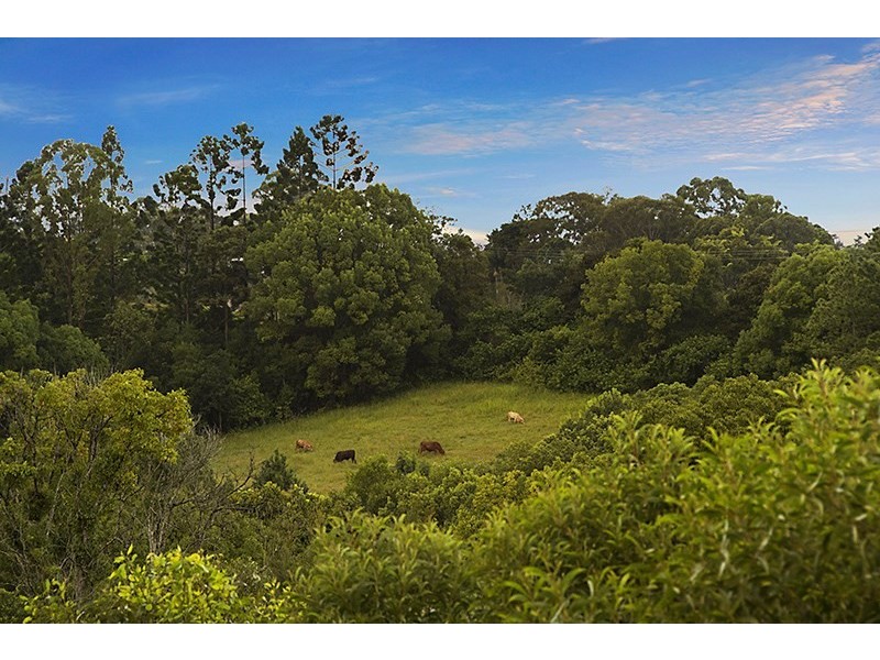 13 Grimes Terrace, Burnside QLD 4560