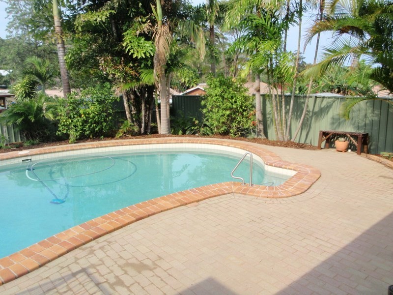 19 Elkhorn Street, Kuluin QLD 4558