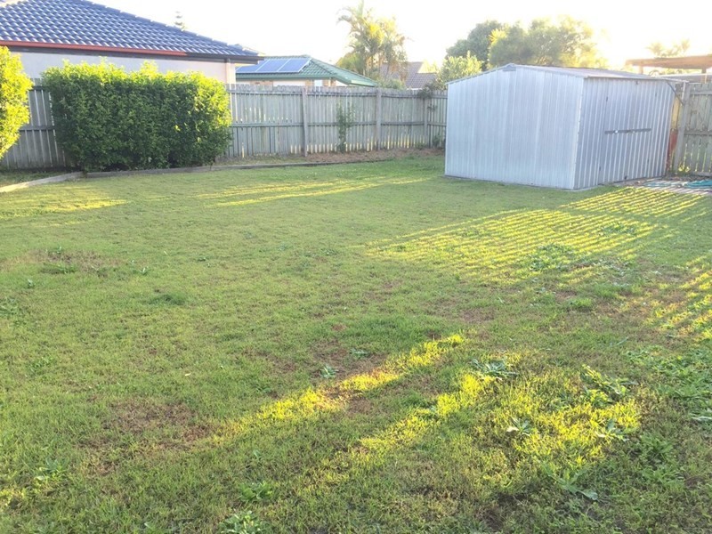 10 Carib Court, Mountain Creek QLD 4557