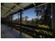 5 Danmark Court, Buderim QLD 4556