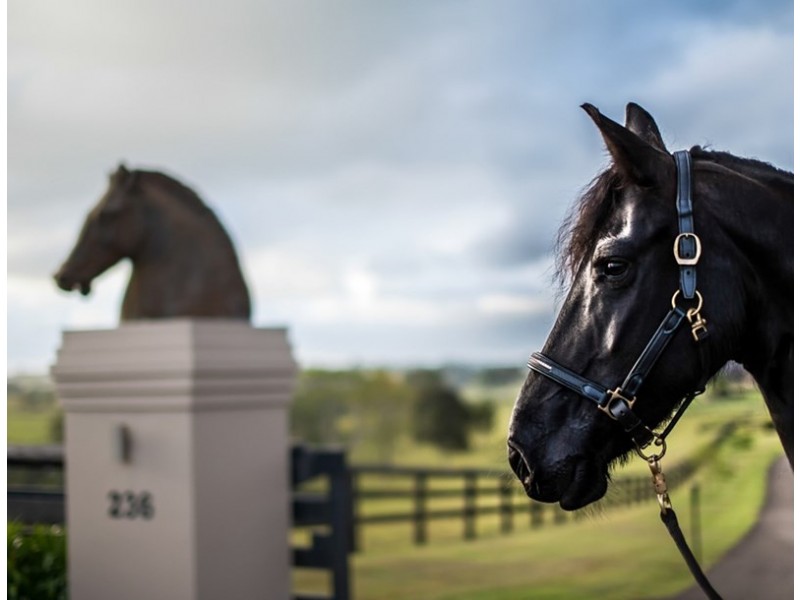 236 Mountain View Road, Maleny QLD 4552