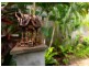 26 Panorama Ridge Road, Buderim QLD 4556