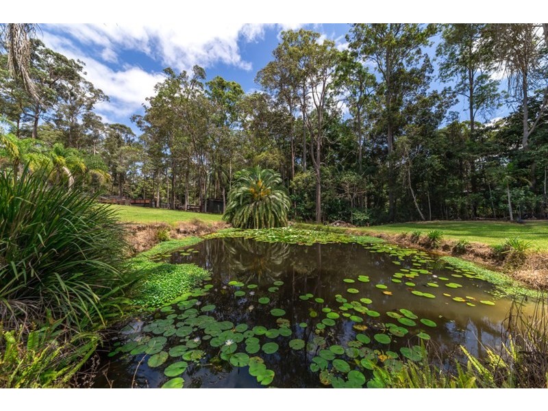 67 Sawreys Road, Forest Glen QLD 4556