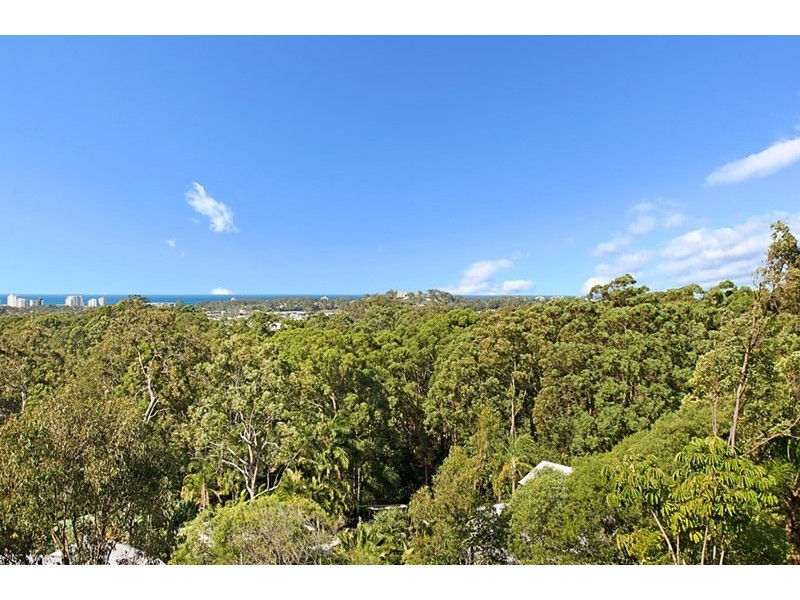 16 Mayfair Lane, Buderim QLD 4556