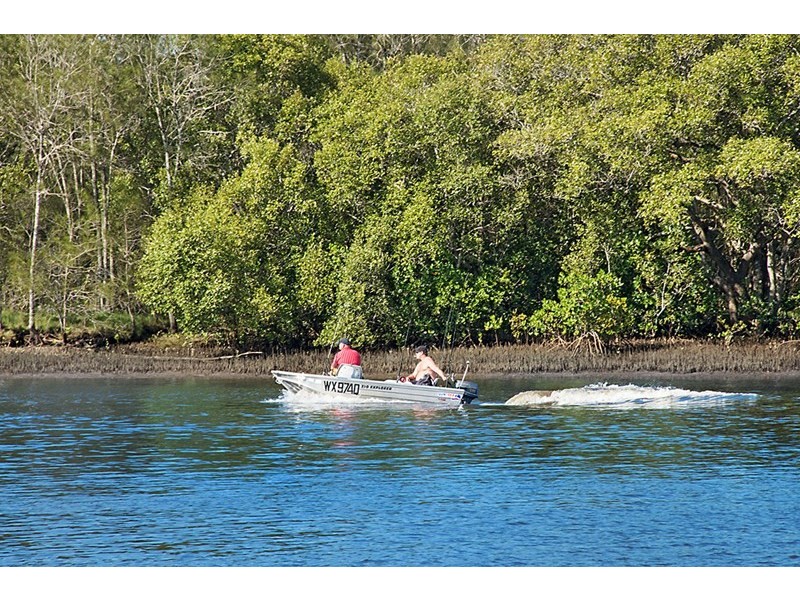 61/38 David Low Way, Diddillibah QLD 4559