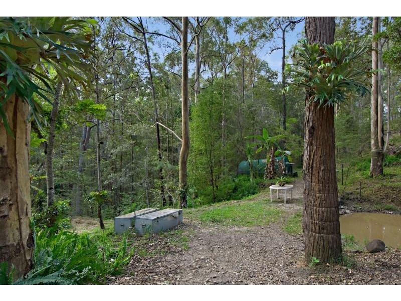 425 Wilson Road, Tanawha QLD 4556
