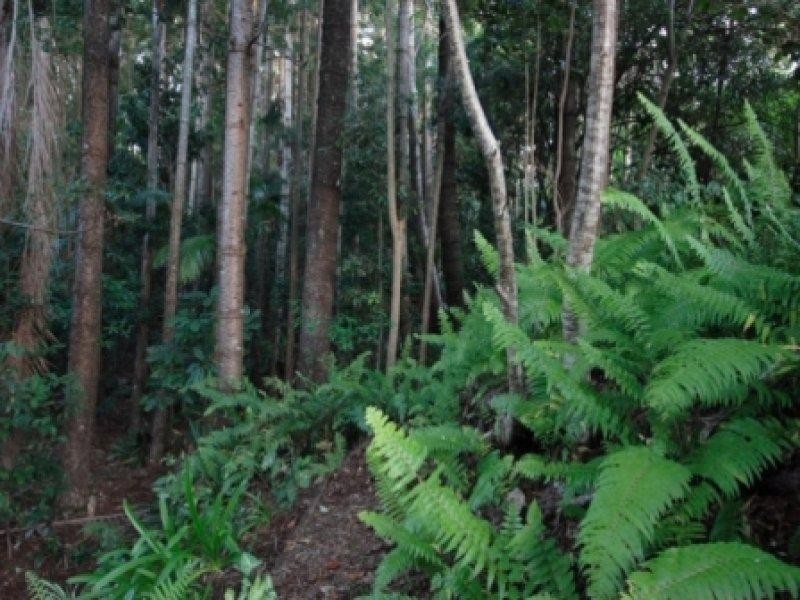 42-44 Quiet Valley Crescent, Buderim QLD 4556