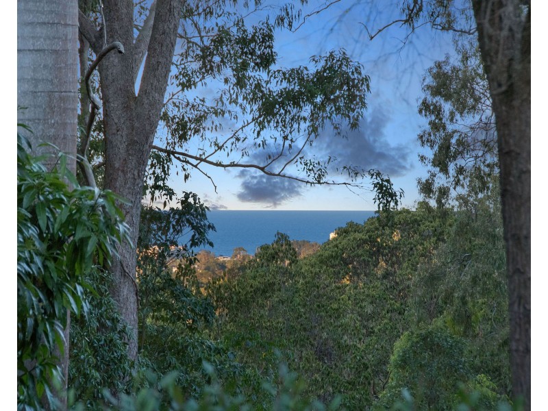 3 Darly Street, Buderim QLD 4556