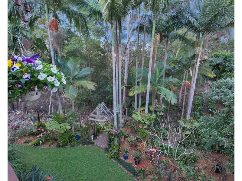 3 Darly Street, Buderim QLD 4556