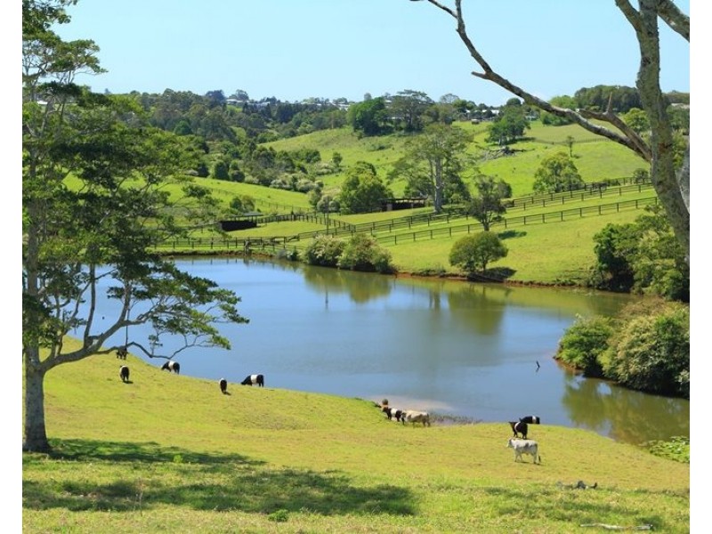 236 Mountain View Road, Maleny QLD 4552