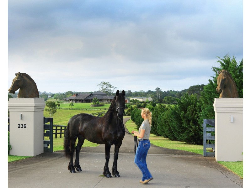 236 Mountain View Road, Maleny QLD 4552