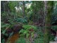 20 Edwin Road, Buderim QLD 4556