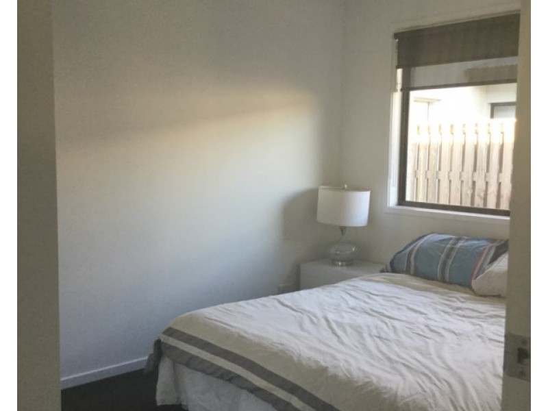 17 Corella Street, Forest Glen QLD 4556