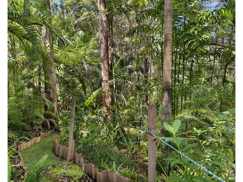 73 Dixon Road, Buderim QLD 4556