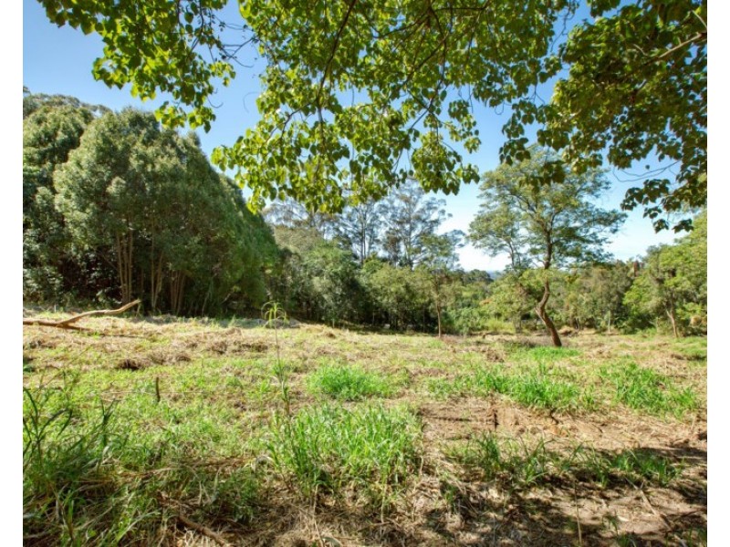 29 Serene Close, Mons QLD 4556