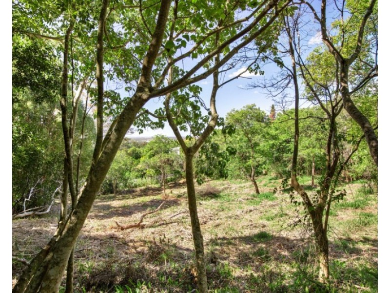 29 Serene Close, Mons QLD 4556