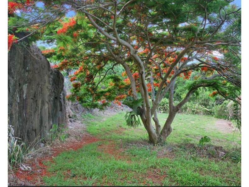 41A Ferguson Avenue, Buderim QLD 4556