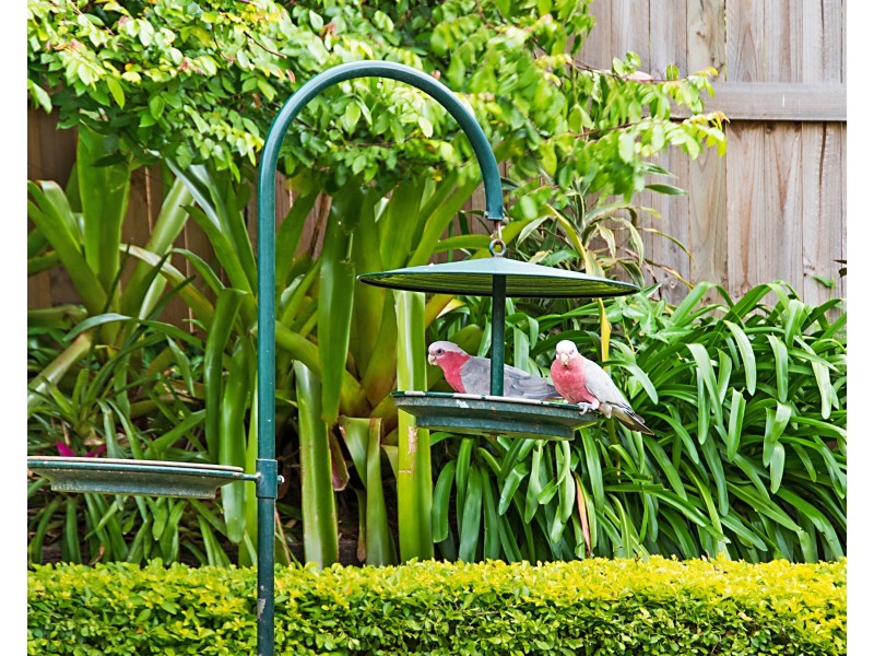 5 Spinaze Close, Buderim QLD 4556