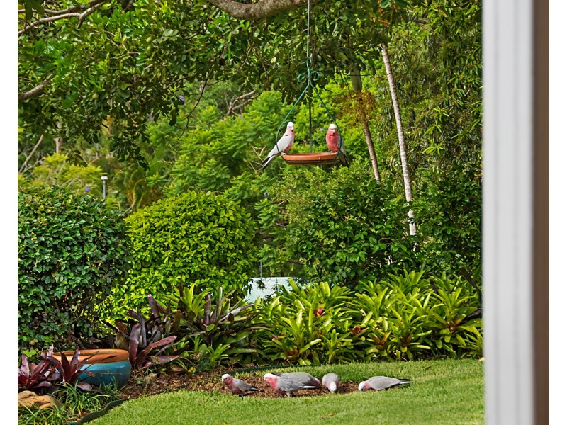 5 Spinaze Close, Buderim QLD 4556