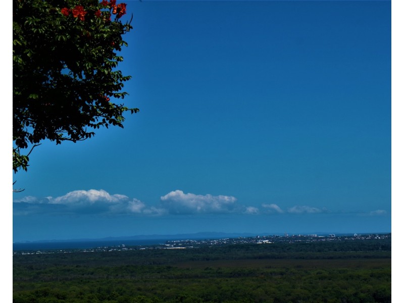 8A Carol Street, Buderim QLD 4556